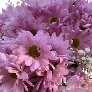 Meet your Posher, Tasneem